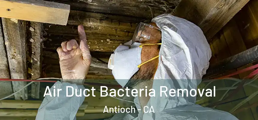 Air Duct Bacteria Removal Antioch - CA