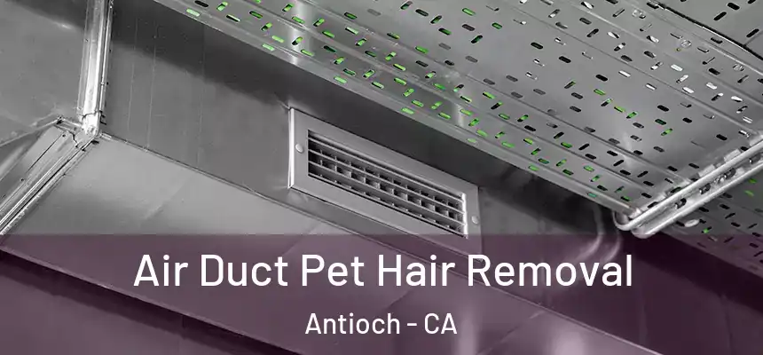 Air Duct Pet Hair Removal Antioch - CA