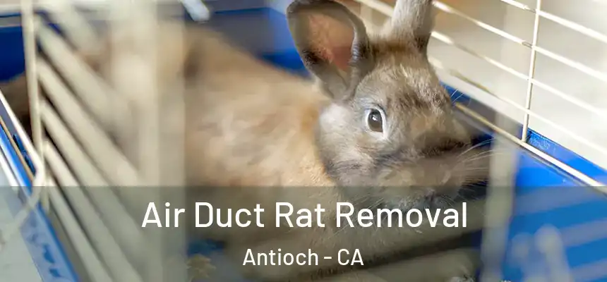 Air Duct Rat Removal Antioch - CA