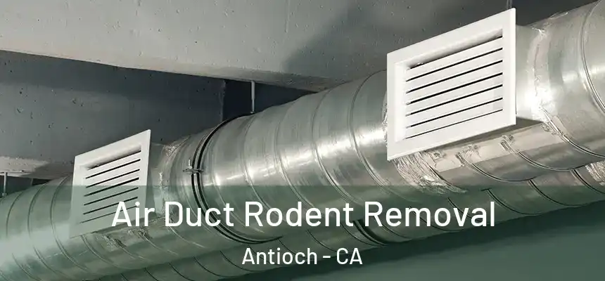 Air Duct Rodent Removal Antioch - CA