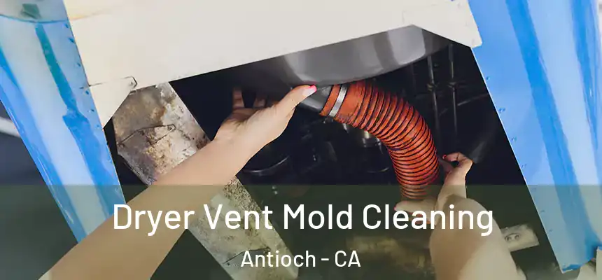 Dryer Vent Mold Cleaning Antioch - CA