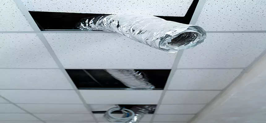 Affordable HVAC Sanitizing After Pest Removal in Antioch