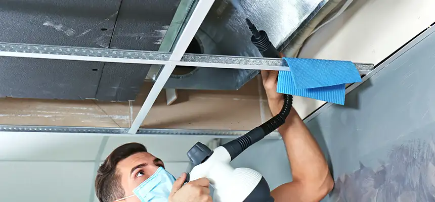 Our Air Duct Rodent Removal Services in Antioch, CA
