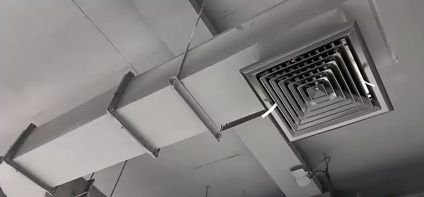 Our Pest Removal From Ducts Services in Antioch, CA