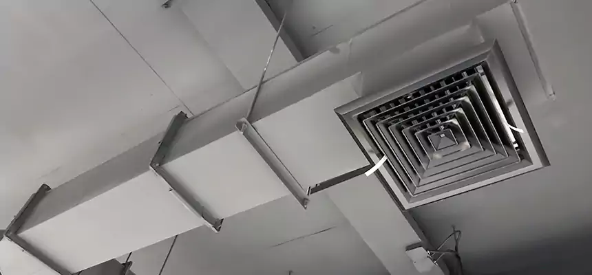 Our Rodent Droppings In Vents Services in Antioch, CA