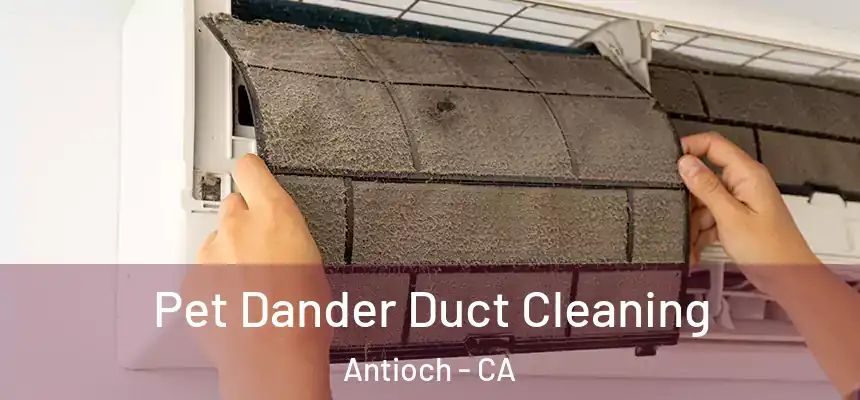 Pet Dander Duct Cleaning Antioch - CA