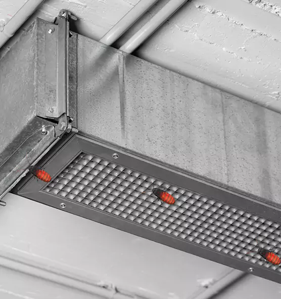 About Air Duct Cockroach Removal in Antioch, CA