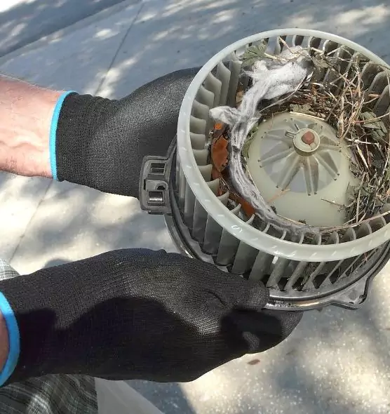 About Air Duct Mice Removal in Antioch, CA