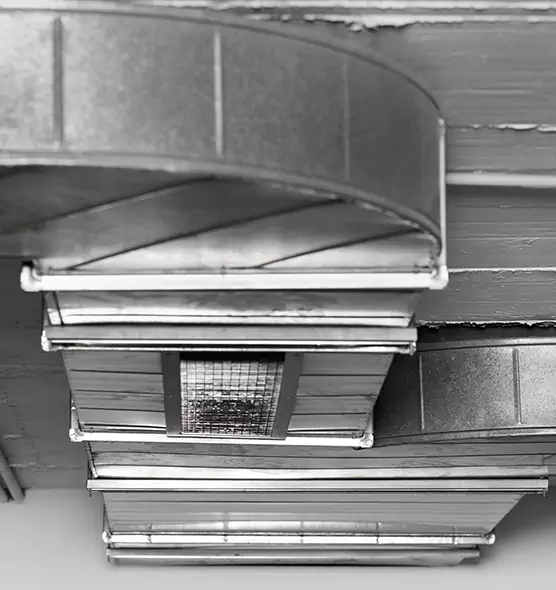 Professional Air Duct Pest Removal in Antioch, CA