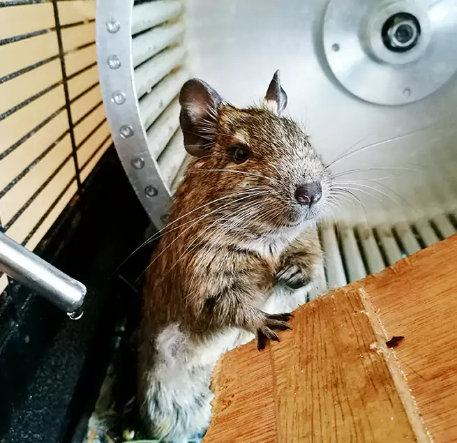 Why Homeowners & Businesses Trust Us Antioch, CA