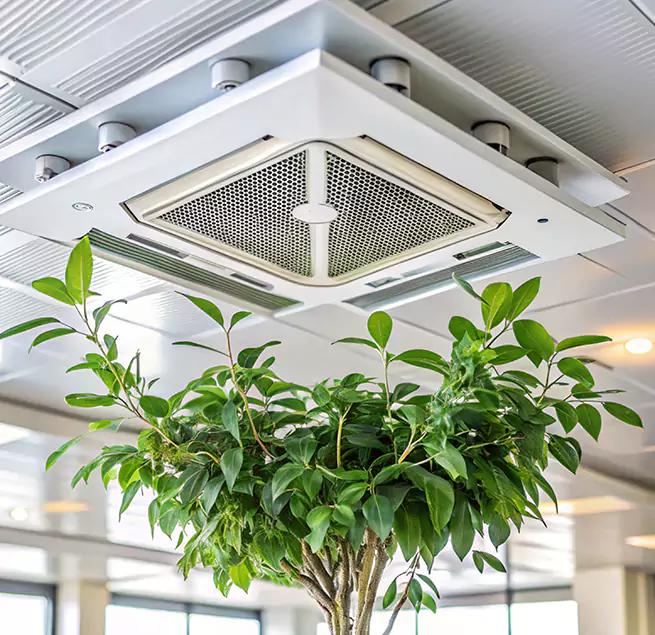 Why Homeowners & Businesses Trust Us in Antioch, CA?