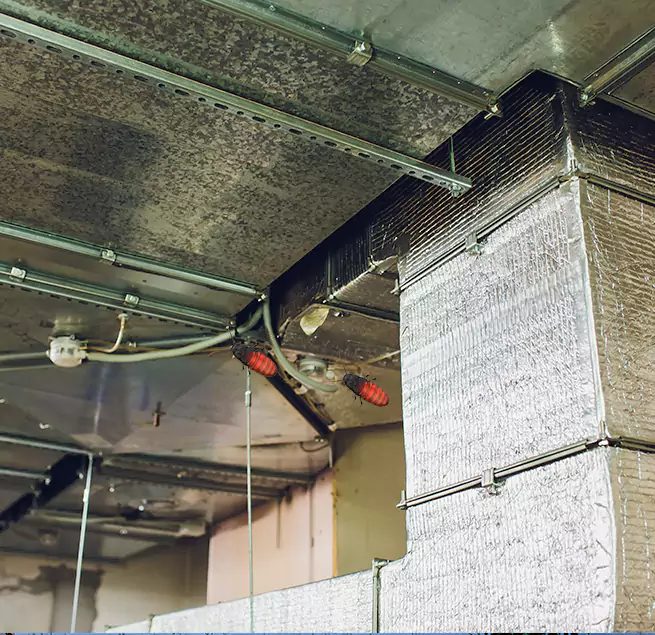 Why Homeowners & Businesses Trust Us Antioch, CA?