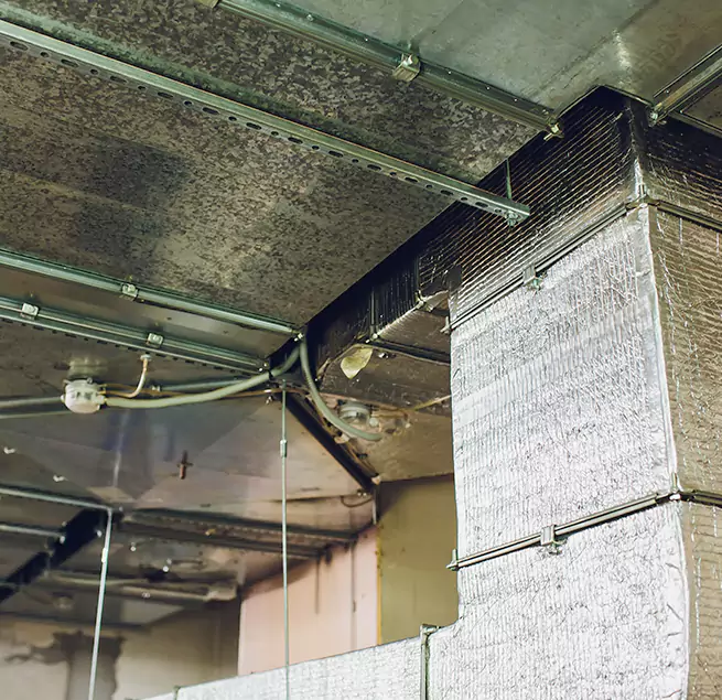 Why Homeowners & Businesses Trust Us in Antioch, CA?